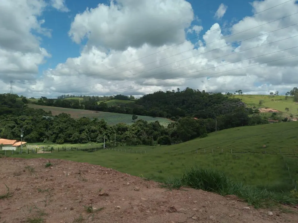 Sítio, 3 hectares - Foto 8