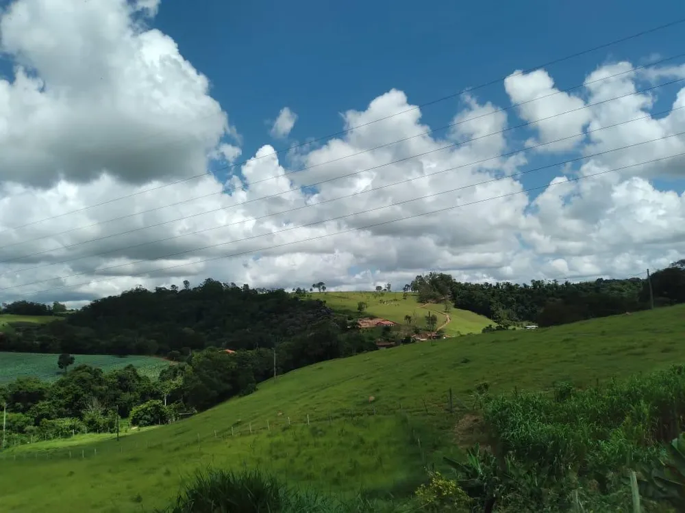Sítio, 3 hectares - Foto 4