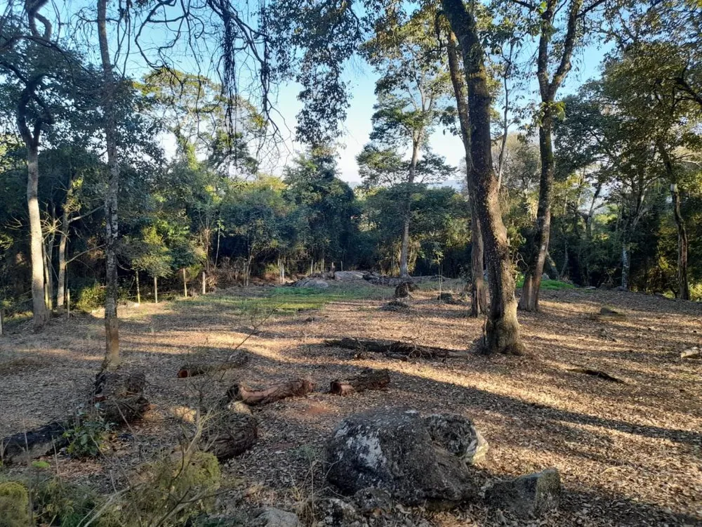 Terreno, 1800 m² - Foto 12