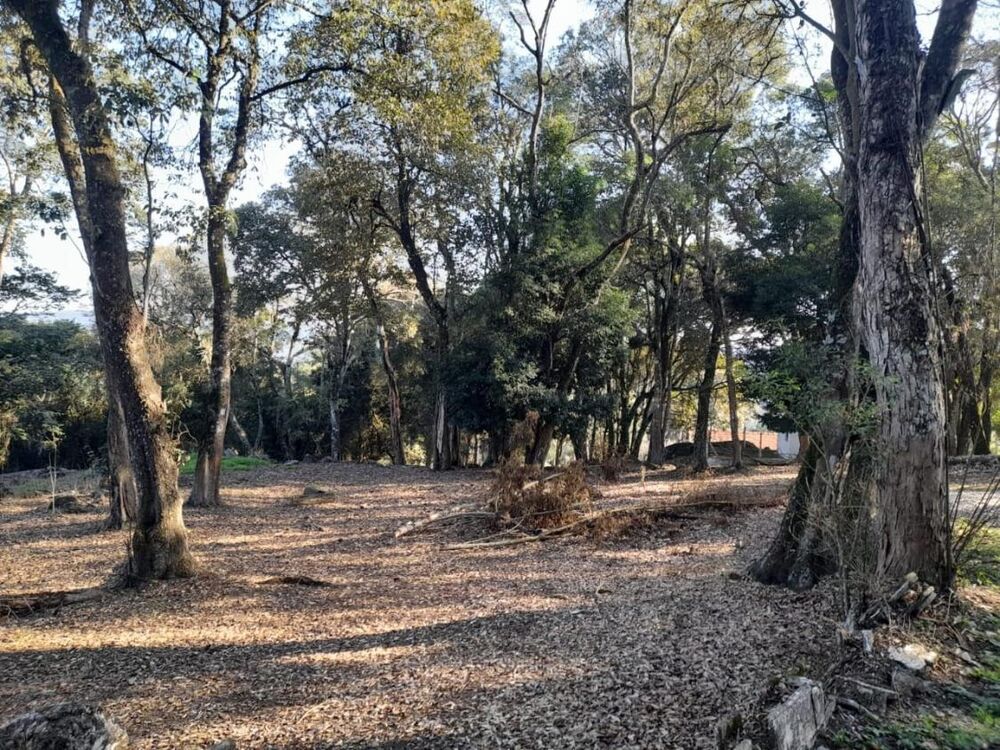 Terreno à venda, 1800m² - Foto 4