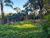 Terreno, 1800 m² - Foto 3