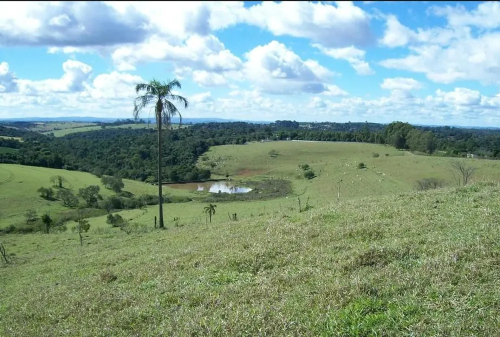 Fazenda, 25 hectares - Foto 2
