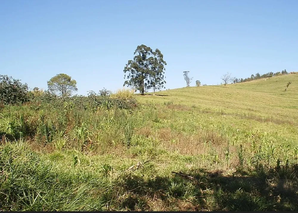 Fazenda, 25 hectares - Foto 7