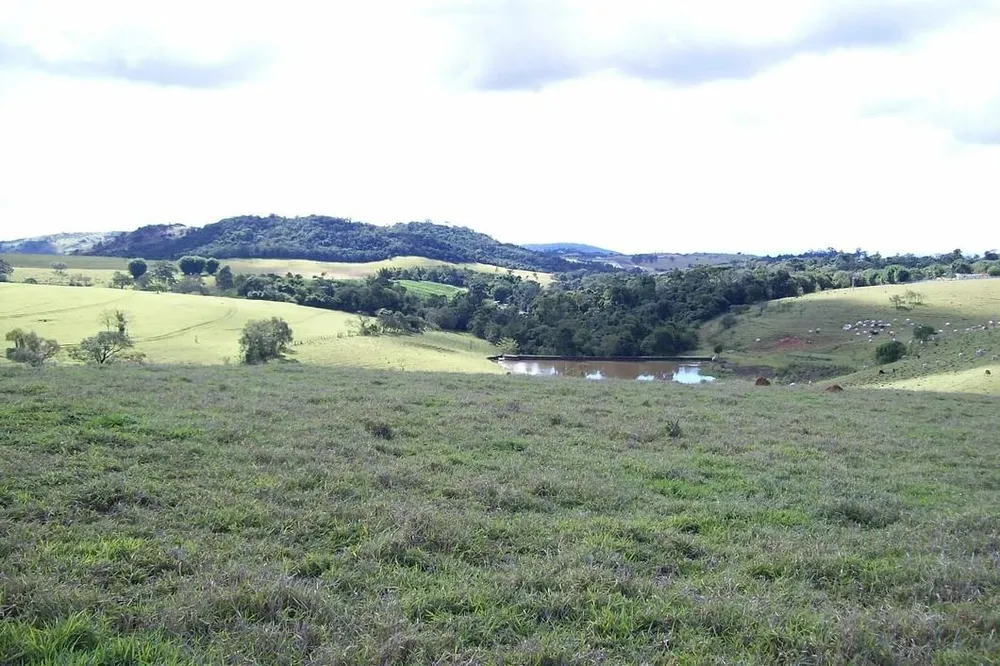 Fazenda, 25 hectares - Foto 3