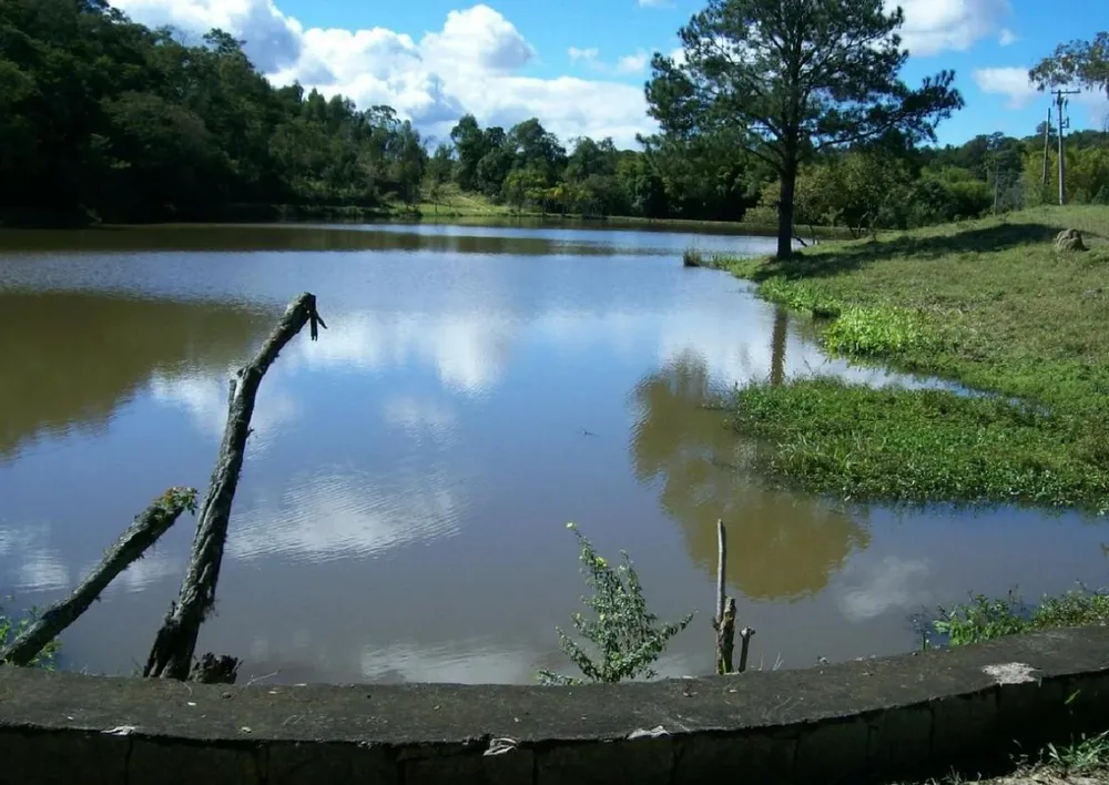 Fazenda, 25 hectares - Foto 5