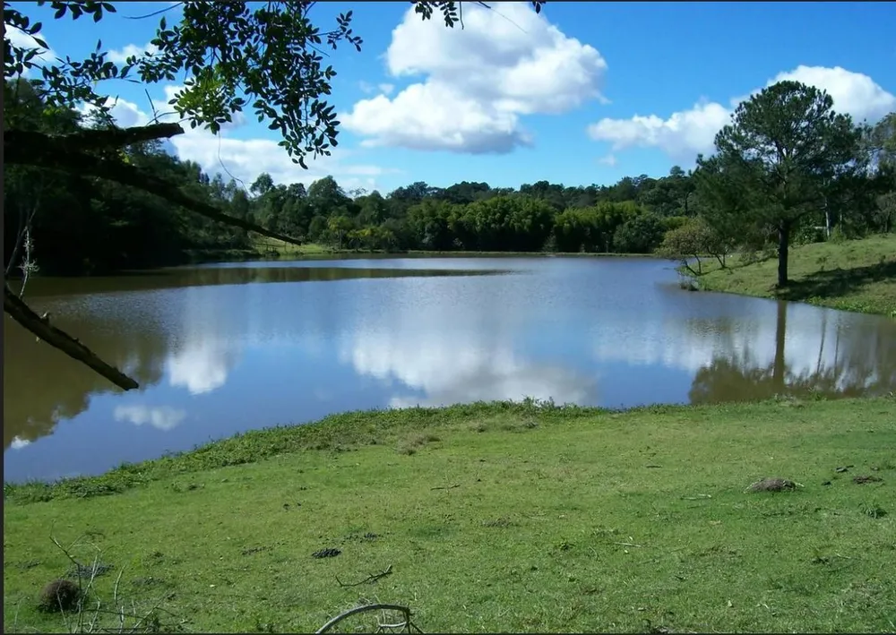 Fazenda, 25 hectares - Foto 4