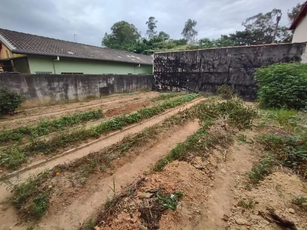 Terreno à venda - Foto 4