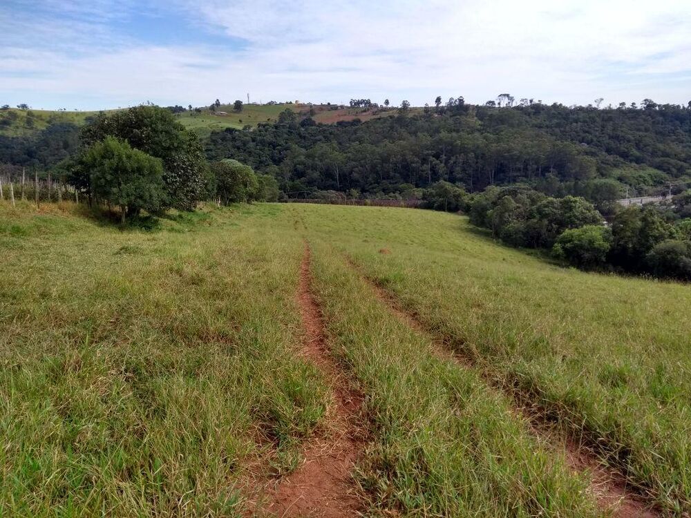Terreno à venda com 1 quarto, 76099m² - Foto 4
