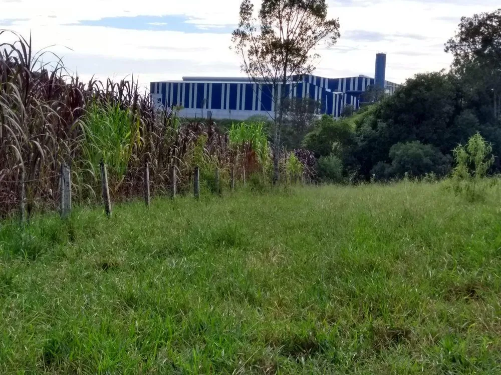 Terreno, 8 hectares - Foto 8