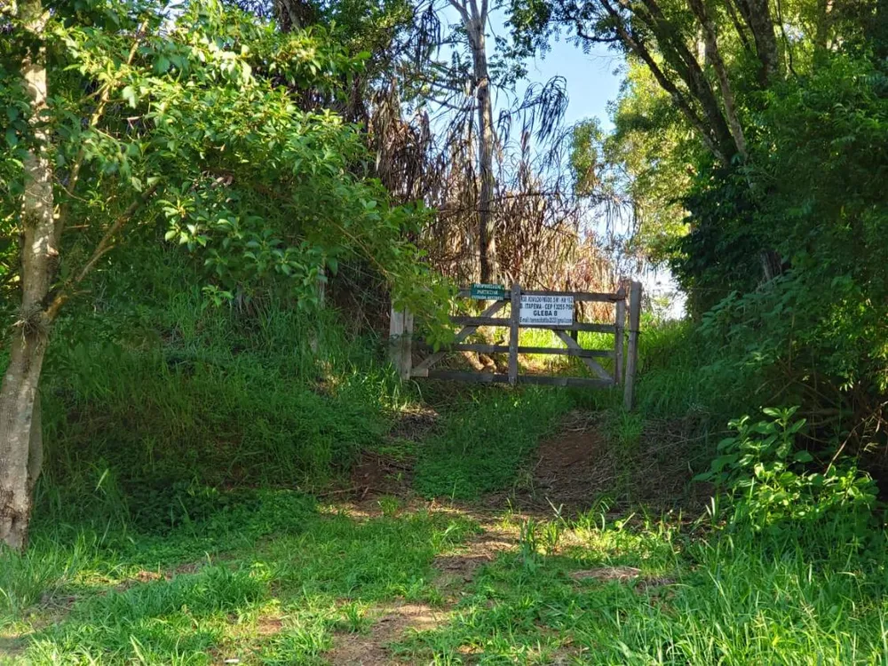 Terreno, 8 hectares - Foto 6