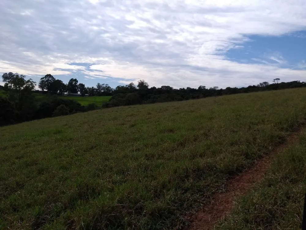 Terreno, 8 hectares - Foto 2