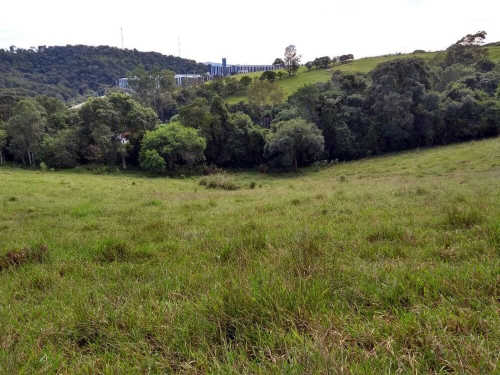 Terreno à venda com 1 quarto, 76099m² - Foto 3