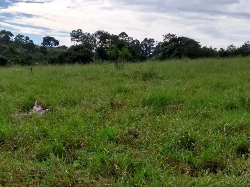 Terreno, 8 hectares - Foto 1