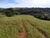 Terreno, 8 hectares - Foto 4