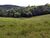 Terreno, 8 hectares - Foto 3