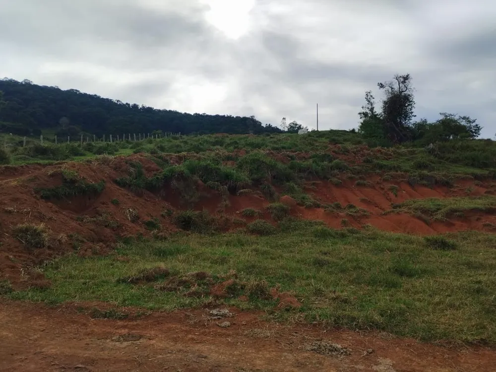 Terreno, 2 hectares - Foto 6