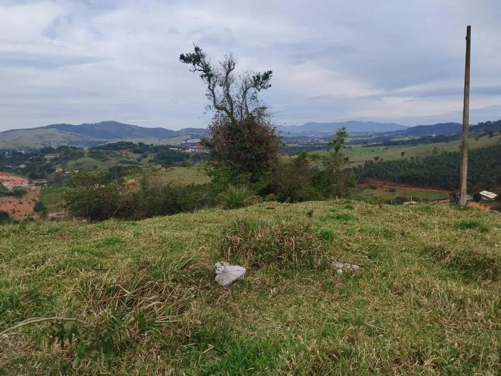 Terreno, 2 hectares - Foto 4