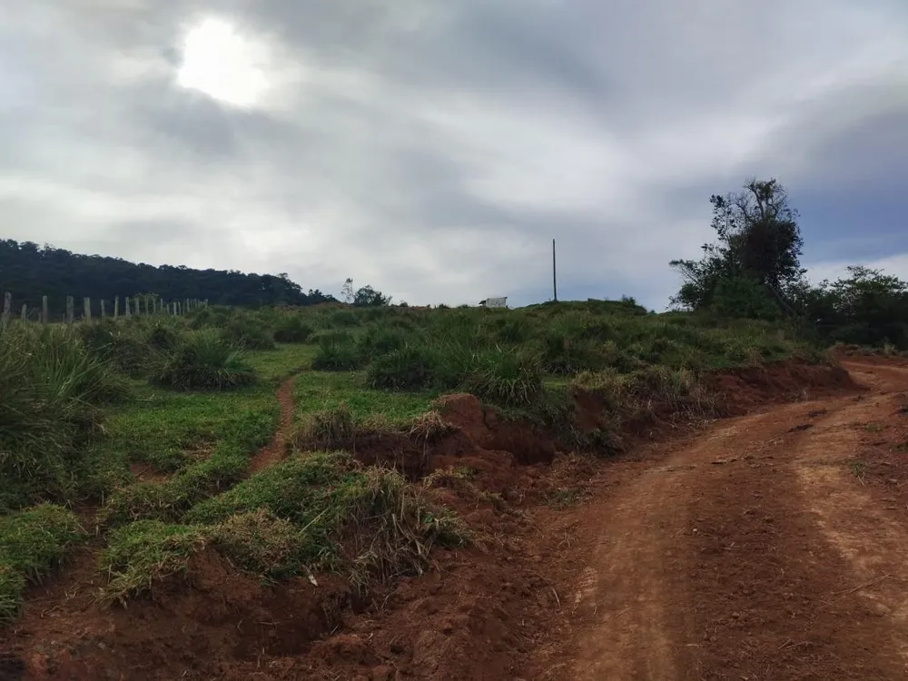 Terreno, 2 hectares - Foto 7