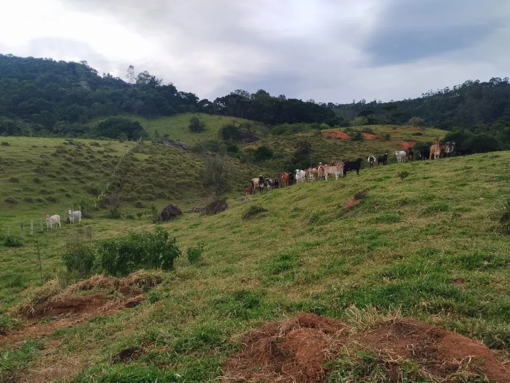Terreno, 2 hectares - Foto 1