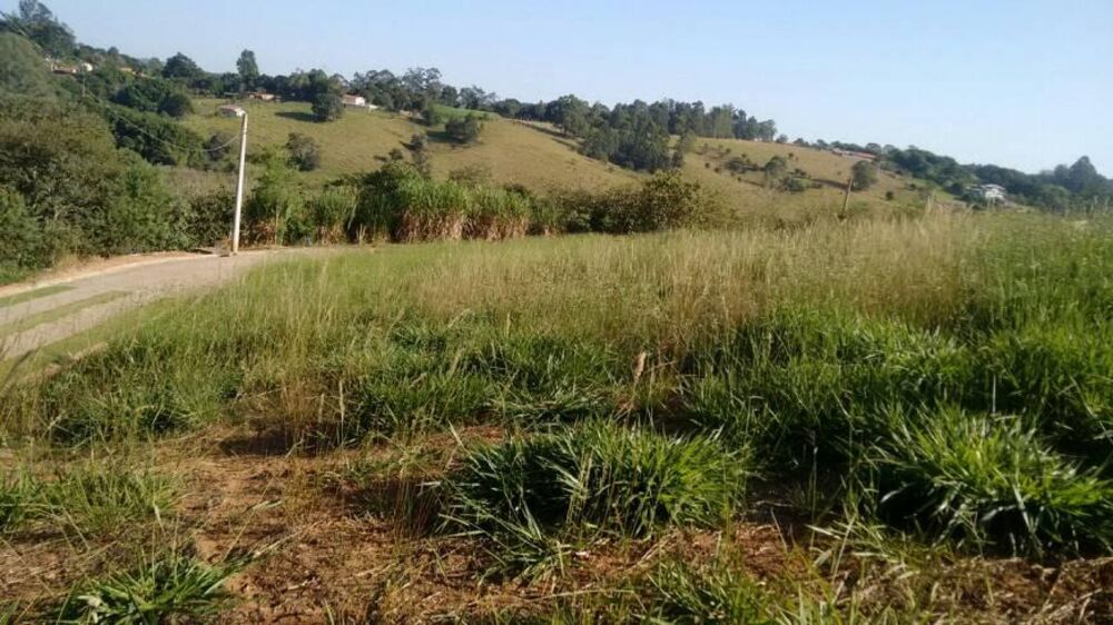 Terreno, 615 m² - Foto 3