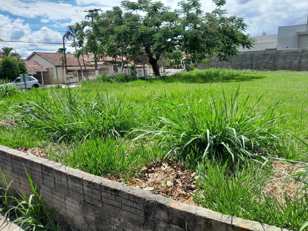 Terreno à venda, 392m² - Foto 2