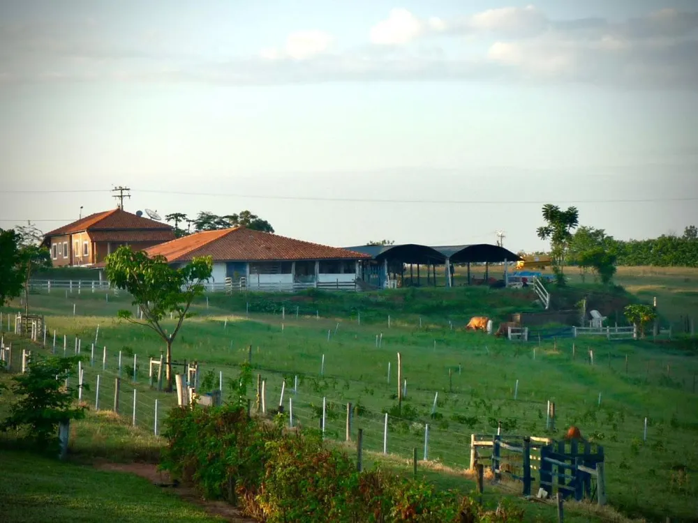 Sítio, 6 quartos, 32 hectares - Foto 19
