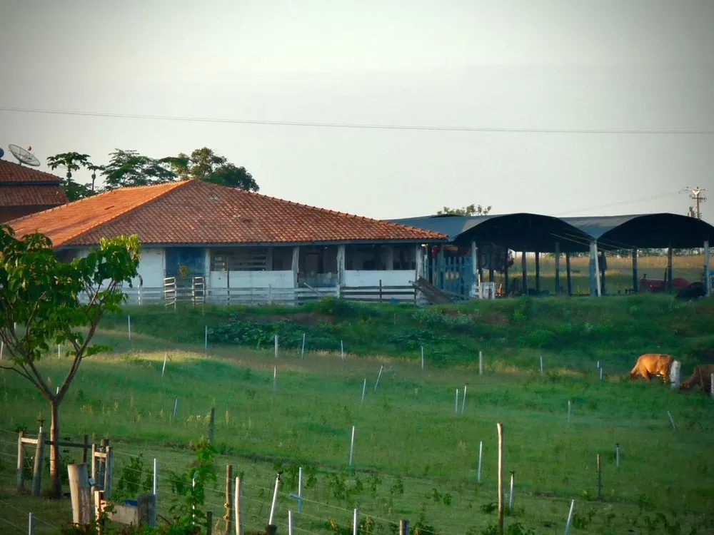 Sítio, 6 quartos, 32 hectares - Foto 6