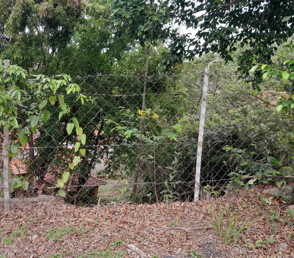 Terreno, 260 m² - Foto 4