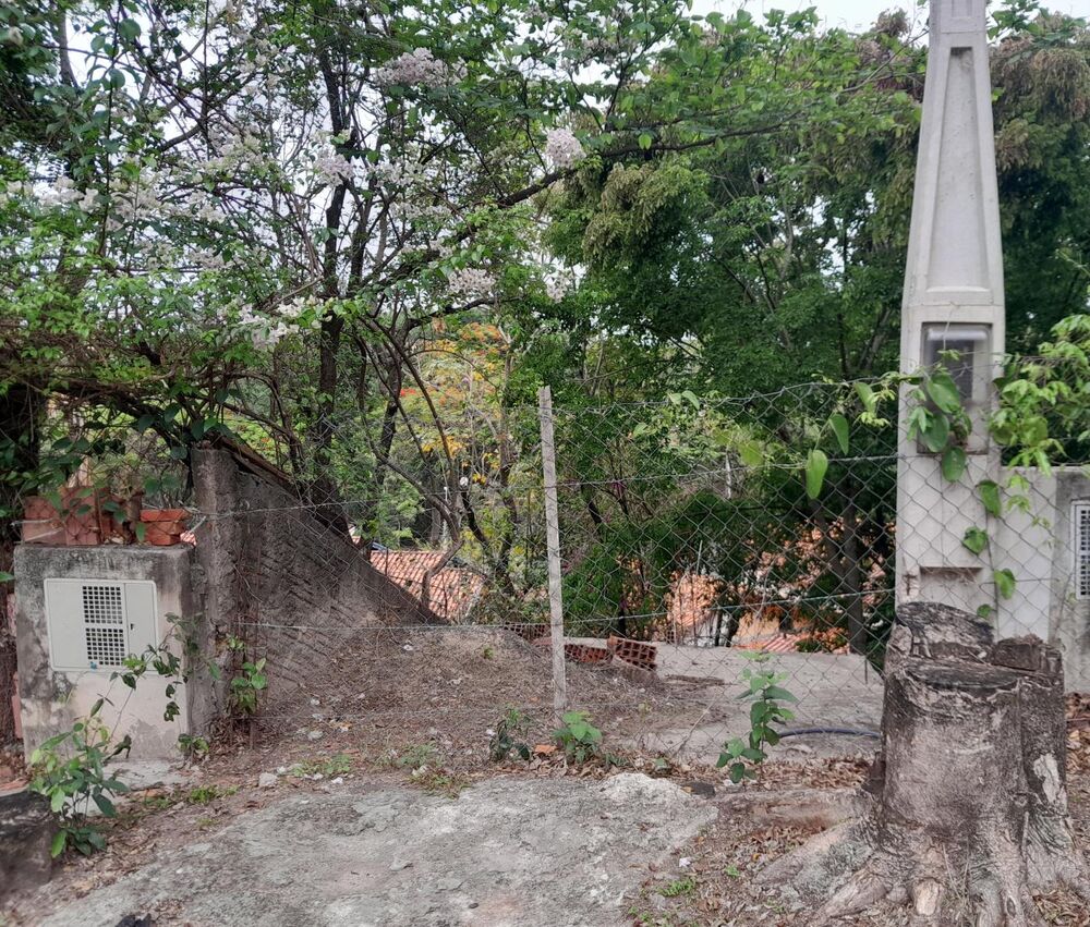 Terreno, 260 m² - Foto 3