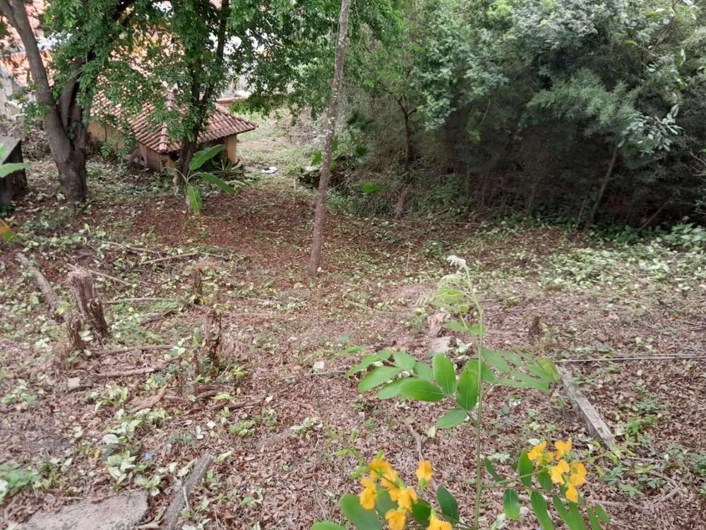 Terreno, 260 m² - Foto 9