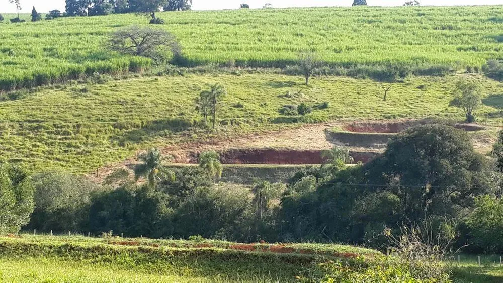 Sítio, 5 hectares - Foto 4