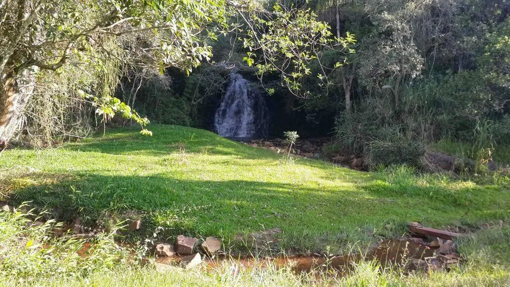 Sítio, 5 hectares - Foto 2