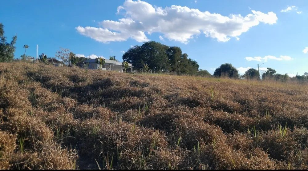 Chácara, 5000 m² - Foto 2