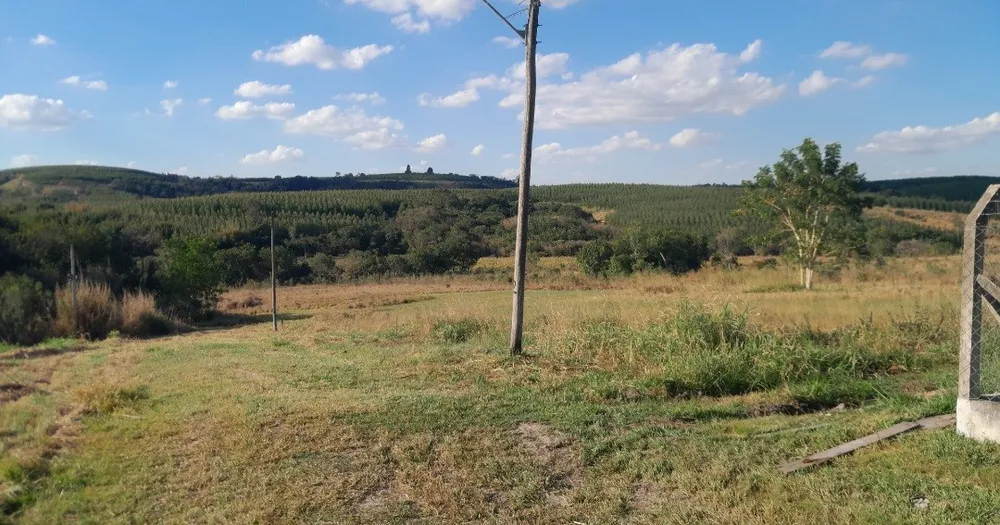 Chácara, 5000 m² - Foto 7