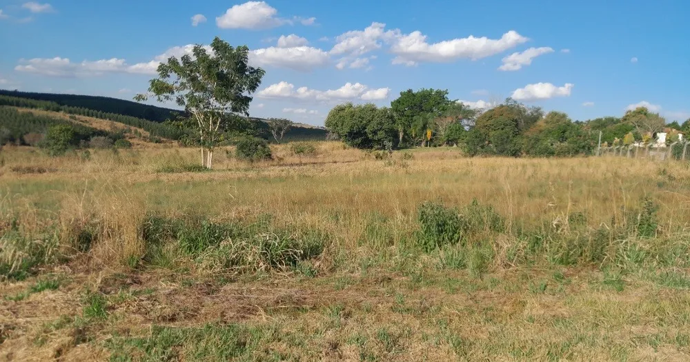 Chácara, 5000 m² - Foto 1