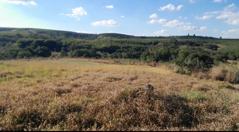 Chácara, 5000 m² - Foto 5