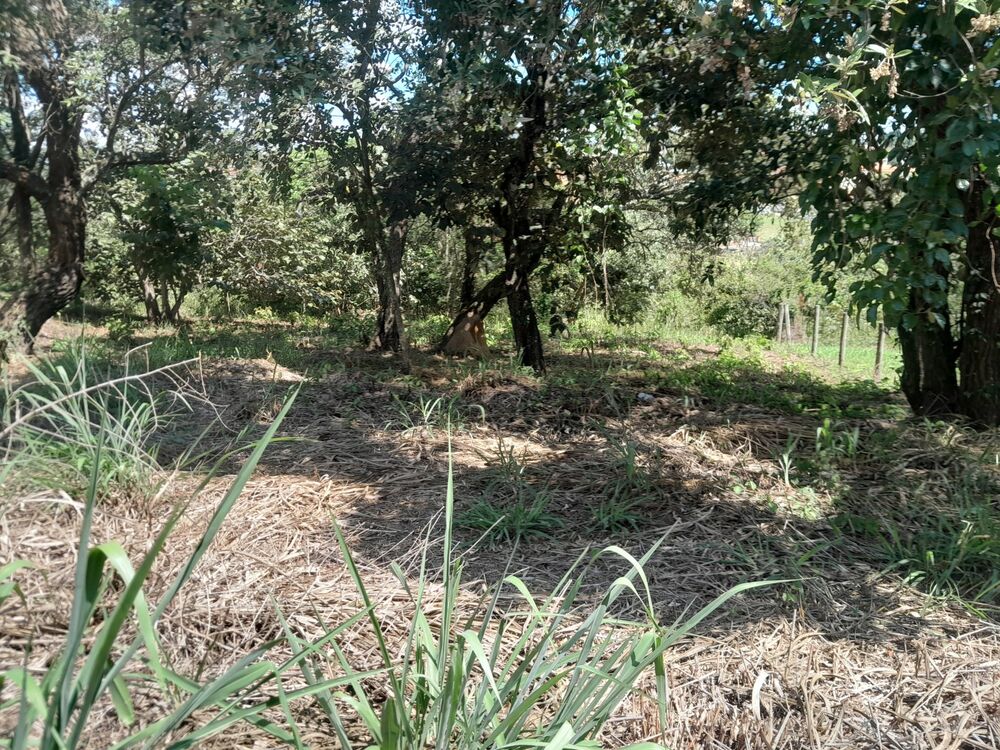 Terreno à venda, 500m² - Foto 3