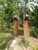 Chácara, 3 quartos, 1 hectares - Foto 1