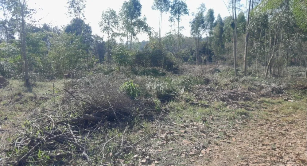 Chácara, 5000 m² - Foto 6