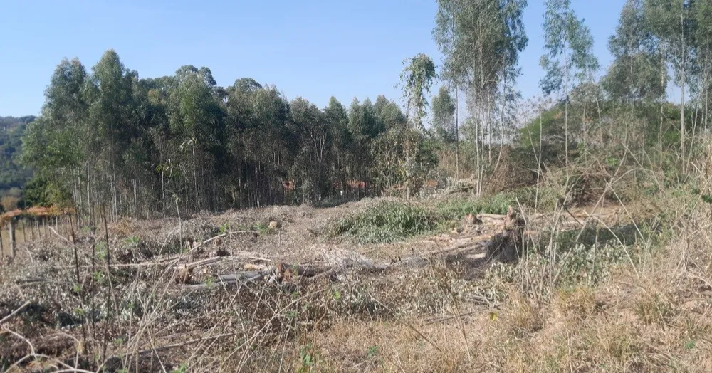 Chácara, 5000 m² - Foto 7