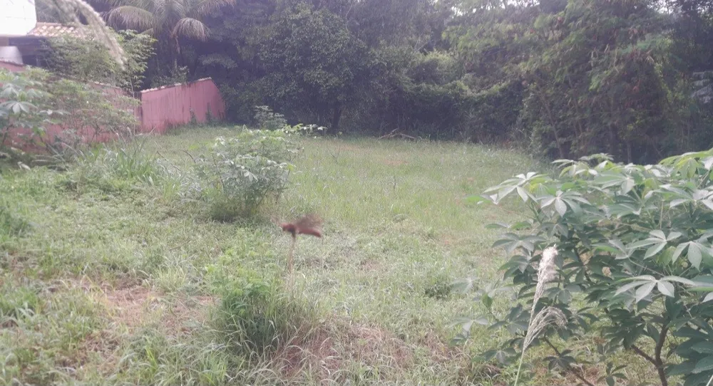 Terreno, 700 m² - Foto 6