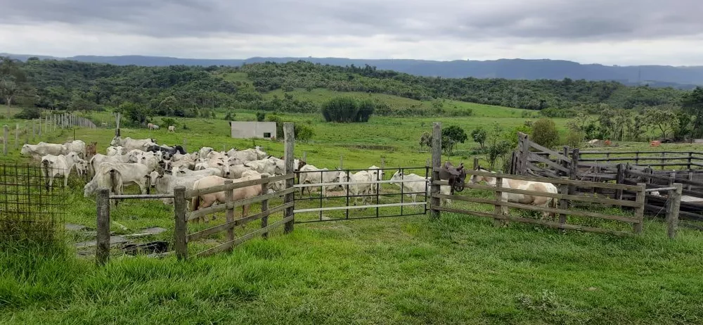 Fazenda à venda, 184000m² - Foto 1