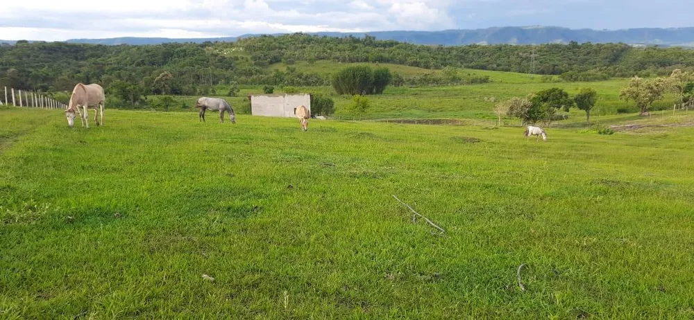 Fazenda à venda, 184000m² - Foto 3