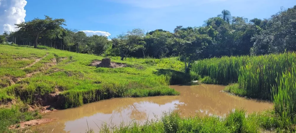 Fazenda à venda, 20000m² - Foto 1