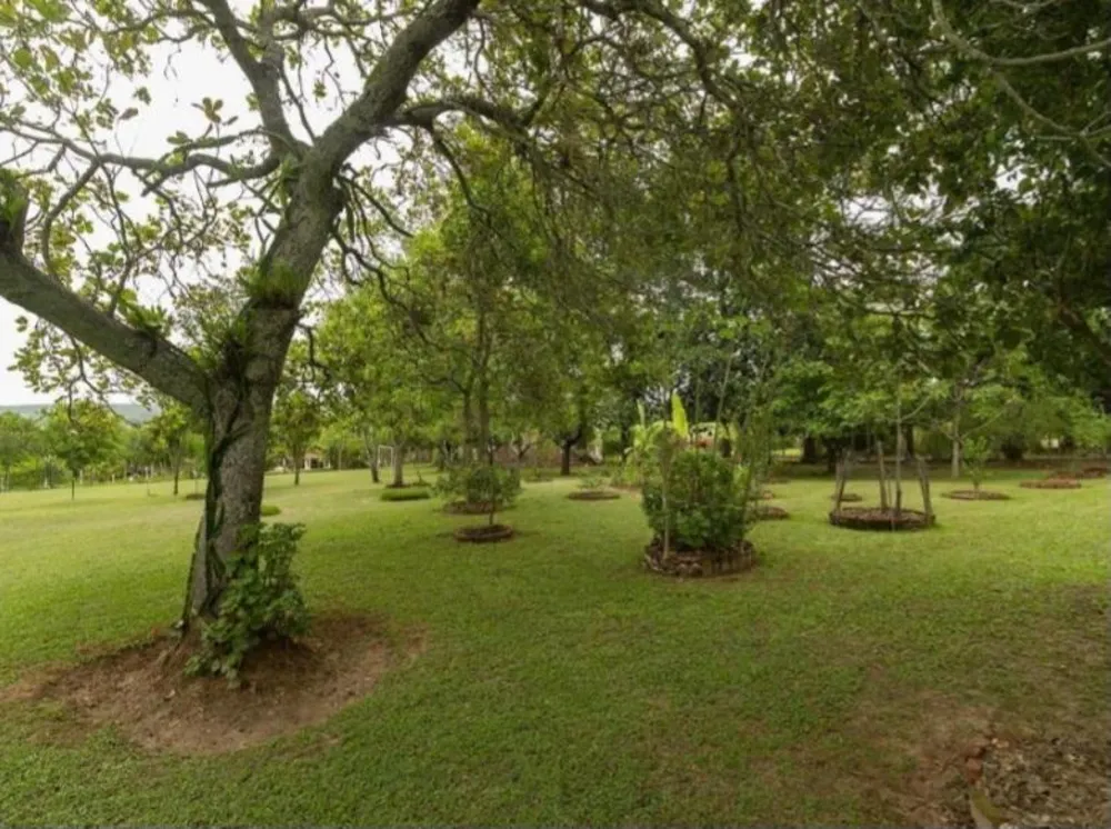 Chácara, 3 quartos, 5000 m² - Foto 2