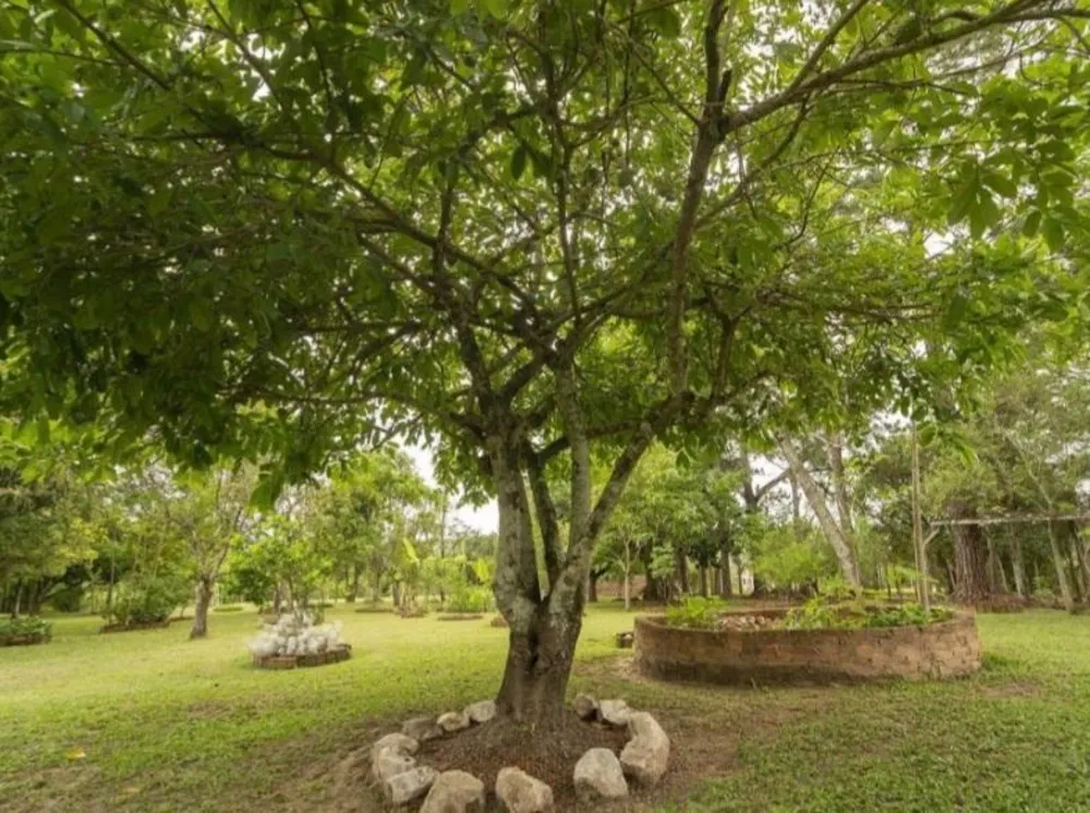 Chácara, 3 quartos, 5000 m² - Foto 1