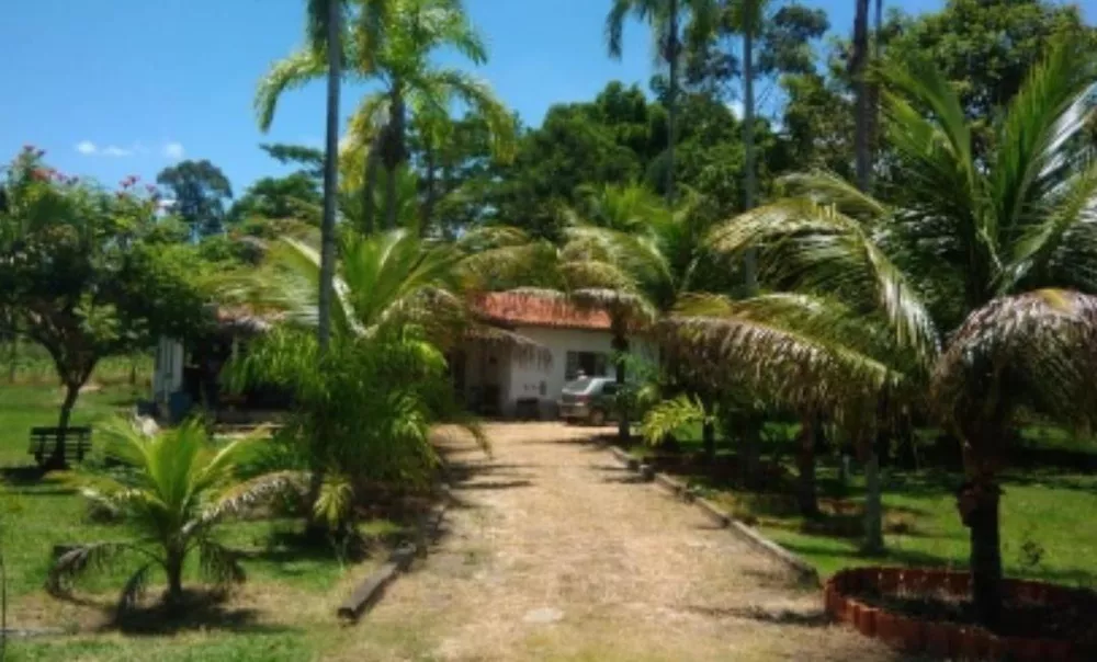 Fazenda à venda com 2 quartos, 6000m² - Foto 2