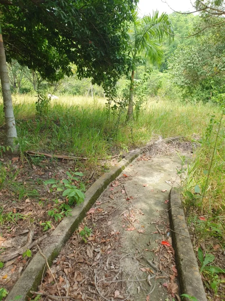 Chácara, 3 quartos, 1 hectares - Foto 14