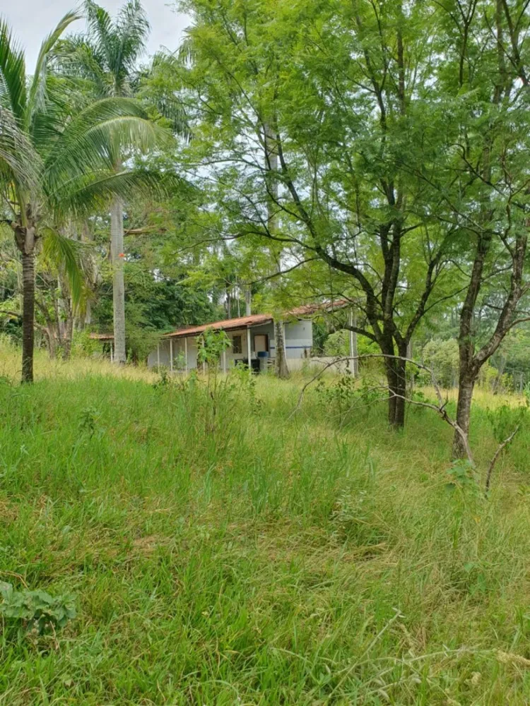 Chácara, 3 quartos, 1 hectares - Foto 11
