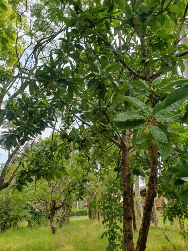 Chácara, 3 quartos, 1 hectares - Foto 3